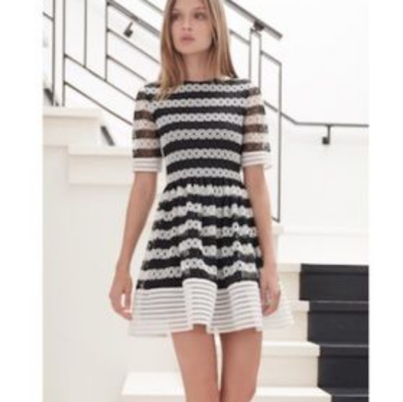 Alexis Dresses & Skirts - Alexis Amir Striped Crochet Pleated Dress